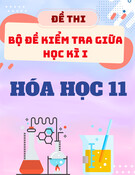 Bộ Đề Ôn Tập Giữa HK 1 Hóa 11