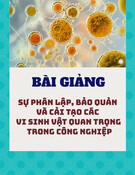 Bài giảng về sự phân lập, bảo quản và cải tạo vi sinh vật quan trọng trong công nghiệp