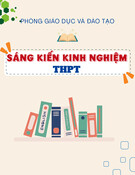 Sáng kiến kinh nghiệm THPT: Khai thác và sử dụng thí nghiệm ảo, thí nghiệm mô phỏng để nâng cao hiệu quả dạy học sinh học 11 ở Trường THPT Nguyễn Công Trứ