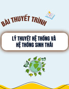Lý thuyết hệ thống và hệ thống sinh thái: Bài thuyết trình chi tiết