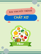 Bài thuyết trình chất xơ: Tổng quan và lợi ích