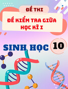 Đề Ôn Tập Giữa Kỳ 1 Sinh 10 Năm 2025-2026 Có Đáp Án Và Ma Trận