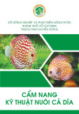 Cẩm nang kỹ thuật nuôi cá dĩa chuẩn nhất