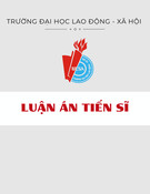 Quản lý nguồn nhân lực bền vững: Tác động đến kết quả công việc của nhân viên ngành chế biến gỗ Việt Nam - Luận án Tiến sĩ