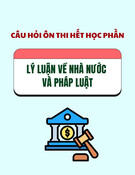 Câu hỏi ôn thi hết học phần môn Lý luận về Nhà nước và pháp luật [chuẩn nhất]