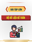 Bài tập lớn bộ dữ liệu kế toán: Kinh nghiệm và hướng dẫn
