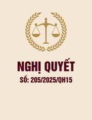 Nghị quyết 205/2025/QH15: Toàn văn và hướng dẫn chi tiết