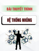 Bài thuyết trình hệ thống nhúng: Tổng quan và ứng dụng
