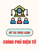 Chính phủ điện tử: Đề tài thảo luận học phần chi tiết