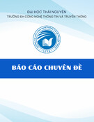 Phát hiện sớm ung thư vú: Báo cáo chuyên đề sử dụng mô hình mạng nơ-ron tích chập (CNN) qua ảnh mô học