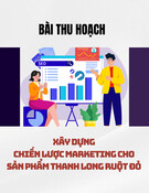 Chiến lược Marketing sản phẩm thanh long ruột đỏ Công ty TNHH Thanh Long Hoàng Hậu tại thị trường Trung Quốc: Bài thu hoạch