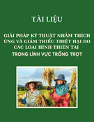 Giải pháp kỹ thuật thích ứng và giảm thiểu thiệt hại do thiên tai trong lĩnh vực trồng trọt: Tài liệu chi tiết