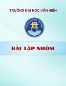 Khảo sát nhu cầu đi du lịch của sinh viên Trường Đại học Văn Hiến: Bài tập nhóm