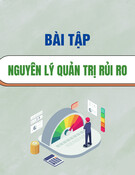 Bài tập môn Nguyên lý quản trị rủi ro: Tổng hợp và hướng dẫn
