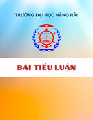 Tiềm năng sử dụng môi chất lạnh tự nhiên trong hệ thống lạnh hiện đại: Bài tiểu luận