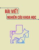 Xác định loài giun thực quản gây bệnh trên chó ở Việt Nam bằng phương pháp sinh học phân tử