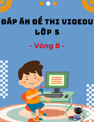 Đáp án VioEdu lớp 5 vòng 8