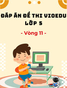Đáp án VioEdu lớp 5 vòng 11