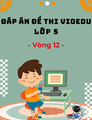 Đáp án VioEdu lớp 5 vòng 12