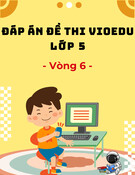 Đáp án VioEdu lớp 5 vòng 6