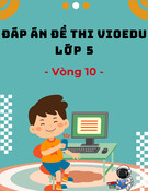 Đáp án VioEdu lớp 5 vòng 10