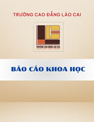 Báo cáo Hoạt động ứng dụng khoa học, công nghệ, khởi nghiệp, đổi mới sáng tạo tại Trường Cao đẳng Lào Cai