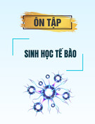 Tài liệu ôn tập Sinh học tế bào chuẩn nhất