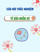 Câu hỏi trắc nghiệm Tế bào nhân sơ [mới nhất]