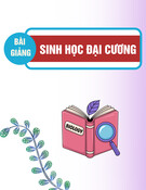 Bài giảng Sinh học đại cương: Năng lượng học của tế bào - Chương 2