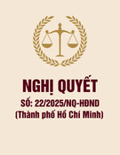 Nghị quyết 22/2025/NQ-HĐND Thành phố Hồ Chí Minh: Toàn văn và hướng dẫn chi tiết