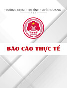 Thực trạng xử lý vi phạm hành chính lĩnh vực lâm nghiệp tại Chi cục Kiểm lâm: Báo cáo thực tế