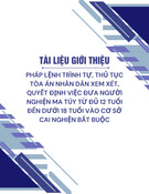 Pháp lệnh trình tự, thủ tục Tòa án nhân dân xem xét, quyết định đưa người nghiện ma túy từ 12-18 tuổi vào cơ sở cai nghiện bắt buộc: Tài liệu giới thiệu