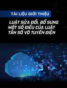 Luật Tần Số Vô Tuyến Điện (Sửa Đổi, Bổ Sung): Tài Liệu Giới Thiệu Chi Tiết