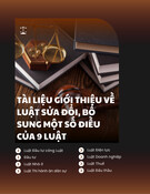 Luật Đầu tư công, PPP, Đầu tư, Nhà ở (mới nhất): Tài liệu giới thiệu Luật sửa đổi, bổ sung