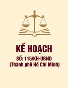 Kế hoạch 115/KH-UBND Thành phố Hồ Chí Minh: Thông tin chi tiết và mới nhất