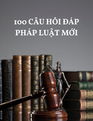100 câu hỏi đáp pháp luật mới nhất