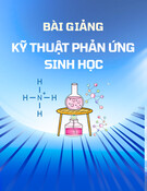 Bài giảng Kỹ thuật phản ứng sinh học: Quá trình truyền khối khí lỏng - Chương 5