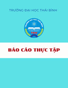 Báo cáo thực tập tốt nghiệp tại Công ty Cổ phần BTE