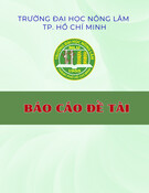 Dung dịch keo Latex: Báo cáo đề tài tìm hiểu chi tiết