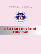 Báo cáo thực tập: Thực trạng tuyển dụng nhân sự tại Công ty TNHH Vân Trường