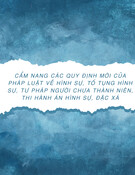 Cẩm nang quy định mới nhất về pháp luật hình sự, tố tụng hình sự, tư pháp người chưa thành niên, thi hành án hình sự, đặc xá