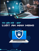 Hỏi - Đáp Luật An Ninh Mạng: Tài Liệu Chi Tiết