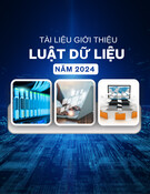 Luật Dữ Liệu 2024: Tài liệu giới thiệu chi tiết nhất