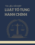 Hỏi đáp Luật Tố tụng Hành chính: Tài liệu [Mô tả/Định tính]