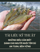 Tài liệu kỹ thuật: Những điều cần biết để nuôi tôm sú an toàn, bền vững