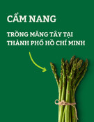 Cẩm nang trồng măng tây tại Thành phố Hồ Chí Minh: Kinh nghiệm và kỹ thuật