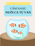 Cẩm nang Nuôi cá Tứ vân chuẩn nhất