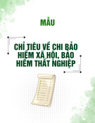 Mẫu Chỉ tiêu Chi Bảo Hiểm Xã Hội, Bảo Hiểm Thất Nghiệp (Mẫu số 25A-HSB) Mới Nhất
