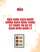 Mẫu Danh sách người hưởng BHXH hằng tháng: Thông tin do cơ quan BHXH quản lý