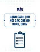 Mẫu Danh sách thu hồi các chế độ BHXH, BHTN